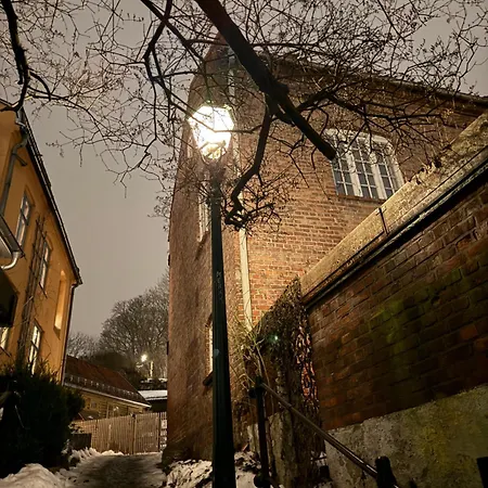 Central, Charming, 1800s Lejlighed Lii