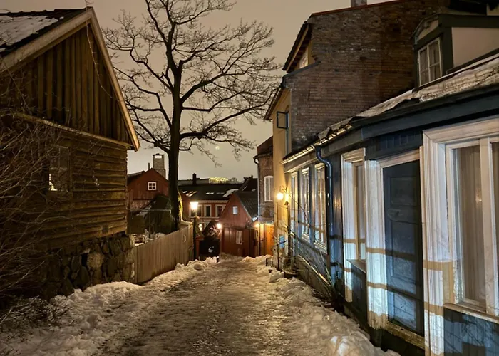 Apartamento Central, Charming, 1800s Lii