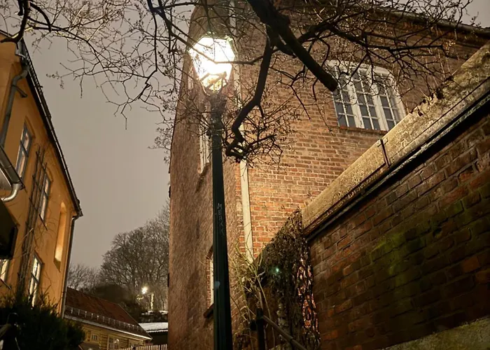 Central, Charming, 1800s Apartamento Lii