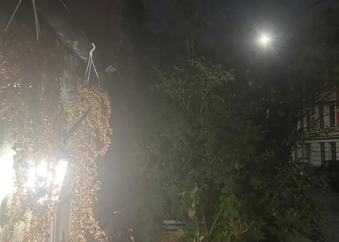 Central, Charming, 1800s